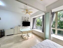 Flamingo Valley (D15), Condominium #567696601